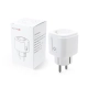 Tuya WiFi Smart priza 16A